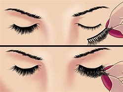 Image result for How to Put On EyeLashes