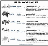 Image result for Brain Waves and Consciousness