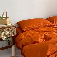 Image result for Rustic Burnt Orange Bedding