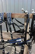 Image result for Draft Horse Harness Hangers