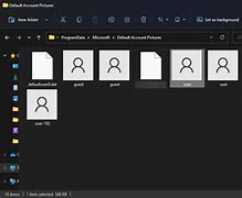 Image result for Windows 11 User Account Icon