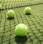 Image result for A Burt Tennis Ball