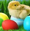 Image result for Free Easter Wallpapers and Screensavers