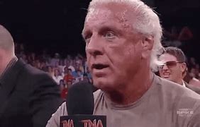 Image result for Ric Flair WWE 2K23