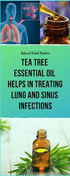 Image result for Natural Antibiotics for Sinus Infection