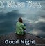Image result for Love Miss You Good Night
