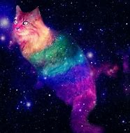 Image result for Galaxy Cat Beautiful
