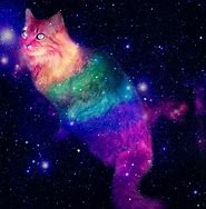 Image result for Rainbow Galaxy Background Cat