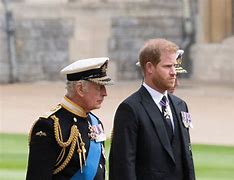 Image result for Prince Harry Duke of Sussex Movies