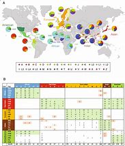 Image result for Haplogroup Map Rhode Island