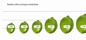 Image result for Lemon Size Chart