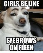 Image result for Giant Eyebrow Meme