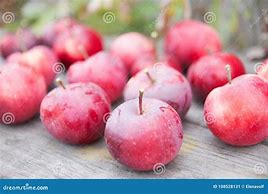 Image result for Small Red Apples