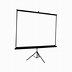 Image result for Portable Widescreen Projector Screen