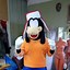 Image result for Disney Goofy Costume