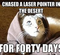 Image result for lasers pointers memes