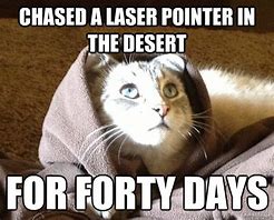 Image result for Cat Laser Pointer Meme