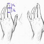 Image result for How to Draw Fingers Anime