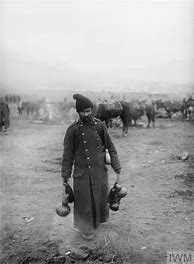 Image result for Albania Serbia War