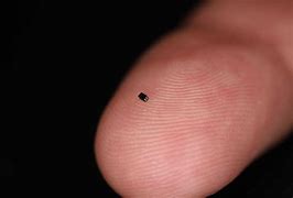 Image result for World's Smallest Eyes