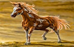 Image result for Paint Horse Screensaver