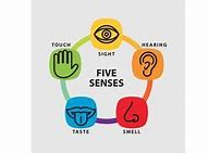 Image result for Free Printable Five Senses Templates