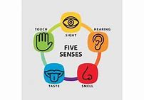 Image result for My Five Senses Craft