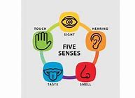 Image result for 5 Senses Toddler Activities