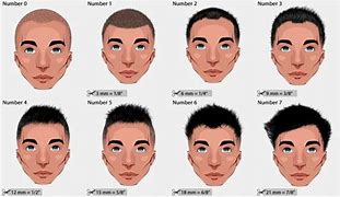 Image result for 2 Inch Haircut