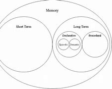 Image result for Cognition Memory