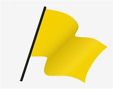 Image result for Yellow Flag Racing