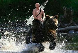 Image result for Russian Bear Putin