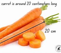 Image result for How Long Is 9 Cm