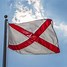 Image result for Alabama Flag