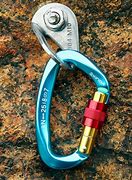 Image result for Heavy Duty Carabiner with Buckle On Top