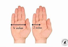 Image result for 7 Inches Compared to Hand