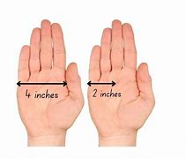 Image result for Is 6 Inch Small