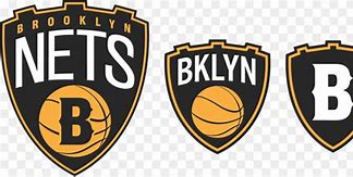 Image result for Long Island Nets Logo