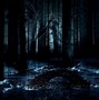 Image result for Dark Anime Forest Wallpaper
