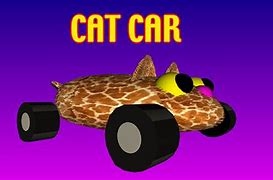 Image result for Silly Car Cat