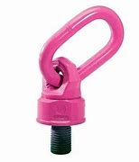 Image result for Swivel Eye Bolts for Lifting