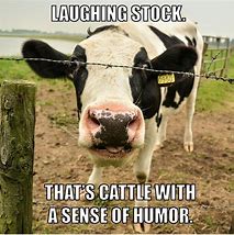 Image result for Soon Cow Meme