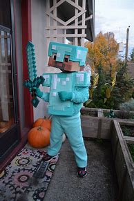 Image result for Steve DIY Costume