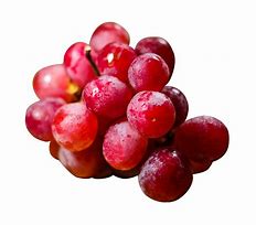 Image result for Marquette Grape