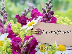 Image result for ani�amuento