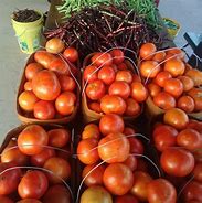 Image result for Local Farmers