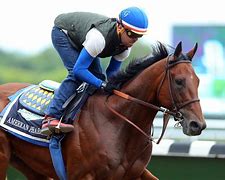 Image result for Horse Racing Photos for Sale