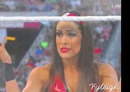 Image result for Bella Twins Love