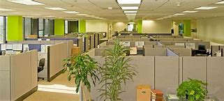 Image result for Office Cubicle Design Ideas