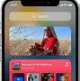 Image result for iPhone 11 Pro Volume Button